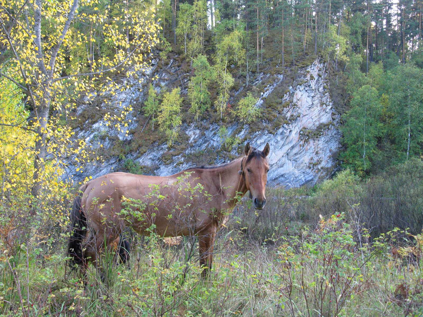 Выходные на реке Белая (13/25)