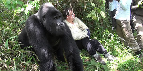 7-дневный незабываемый опыт сафари в Уганде (6/20)