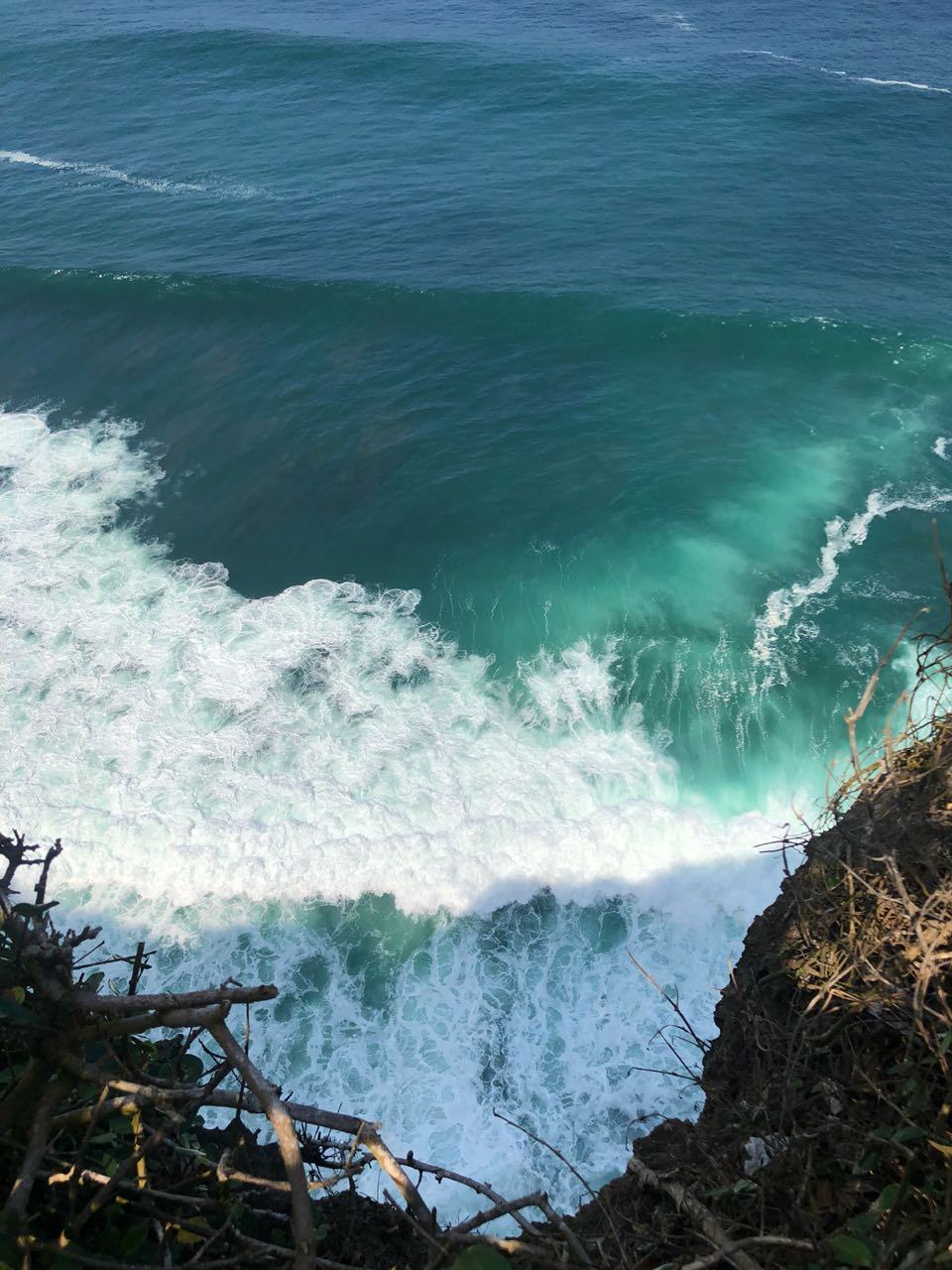 Остров мечты за 12 дней . (5/61)