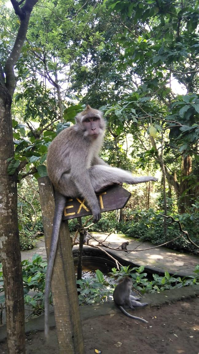 Остров мечты за 12 дней . (12/61)