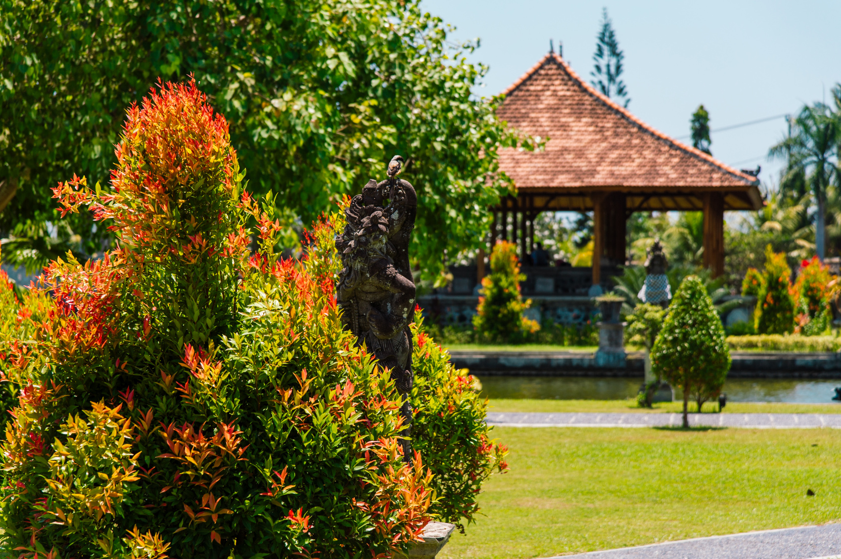 Остров мечты за 12 дней . (14/61)