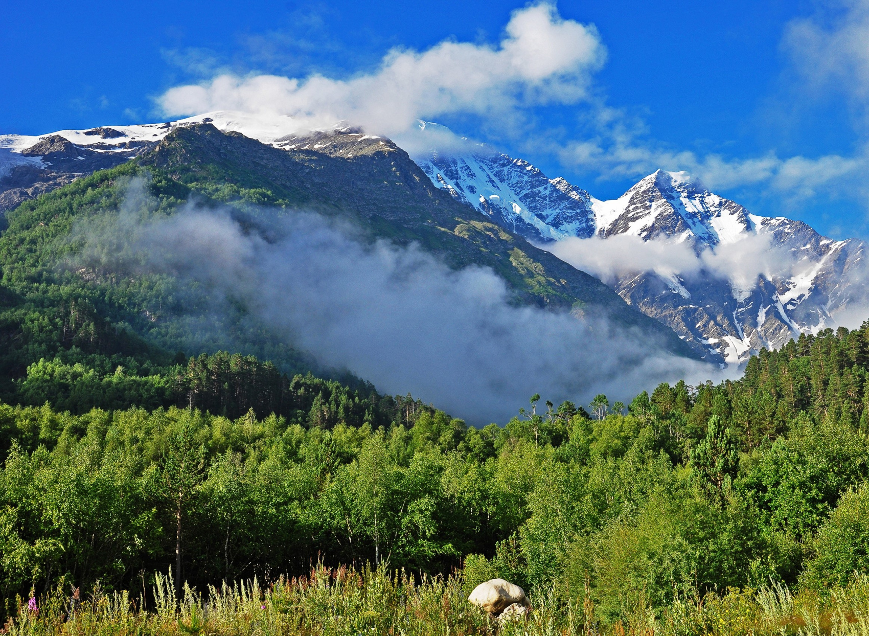 Эльбрус с юга. Восхождение с комфортом (14/57)