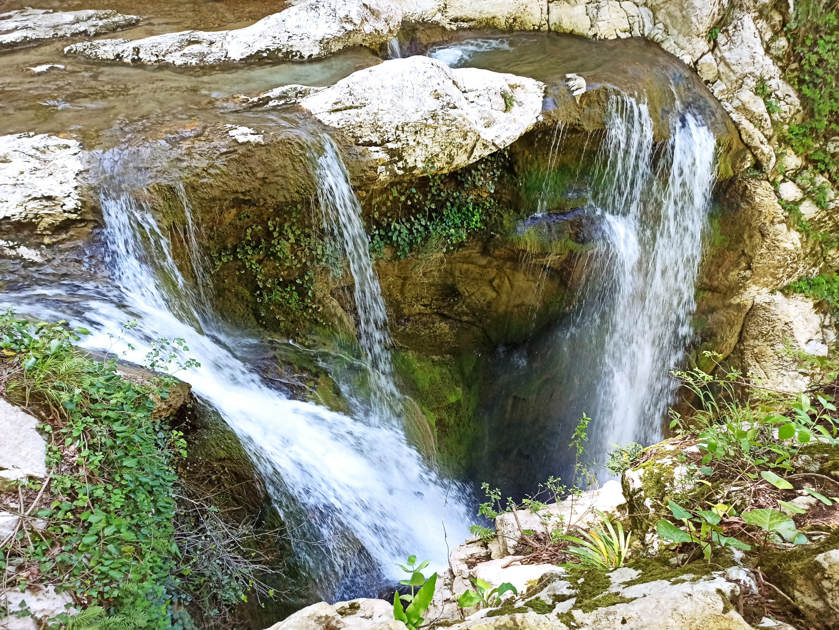 Сочинский эксклюзив (7 дней) (9/23)