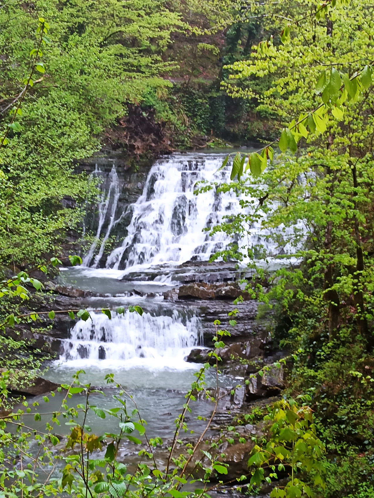 Сочинский эксклюзив (7 дней) (8/23)