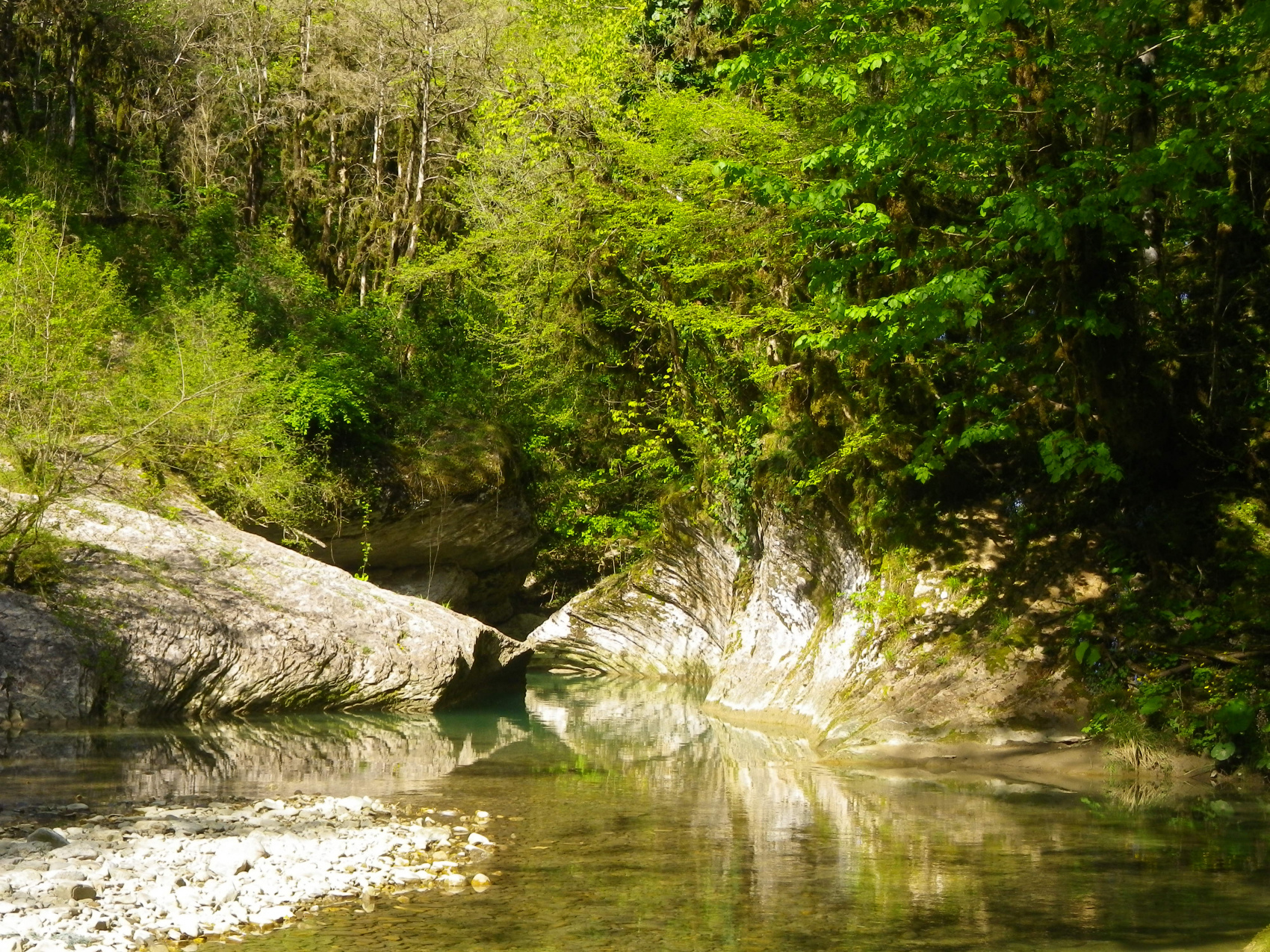 Сочинский эксклюзив (7 дней) (6/23)