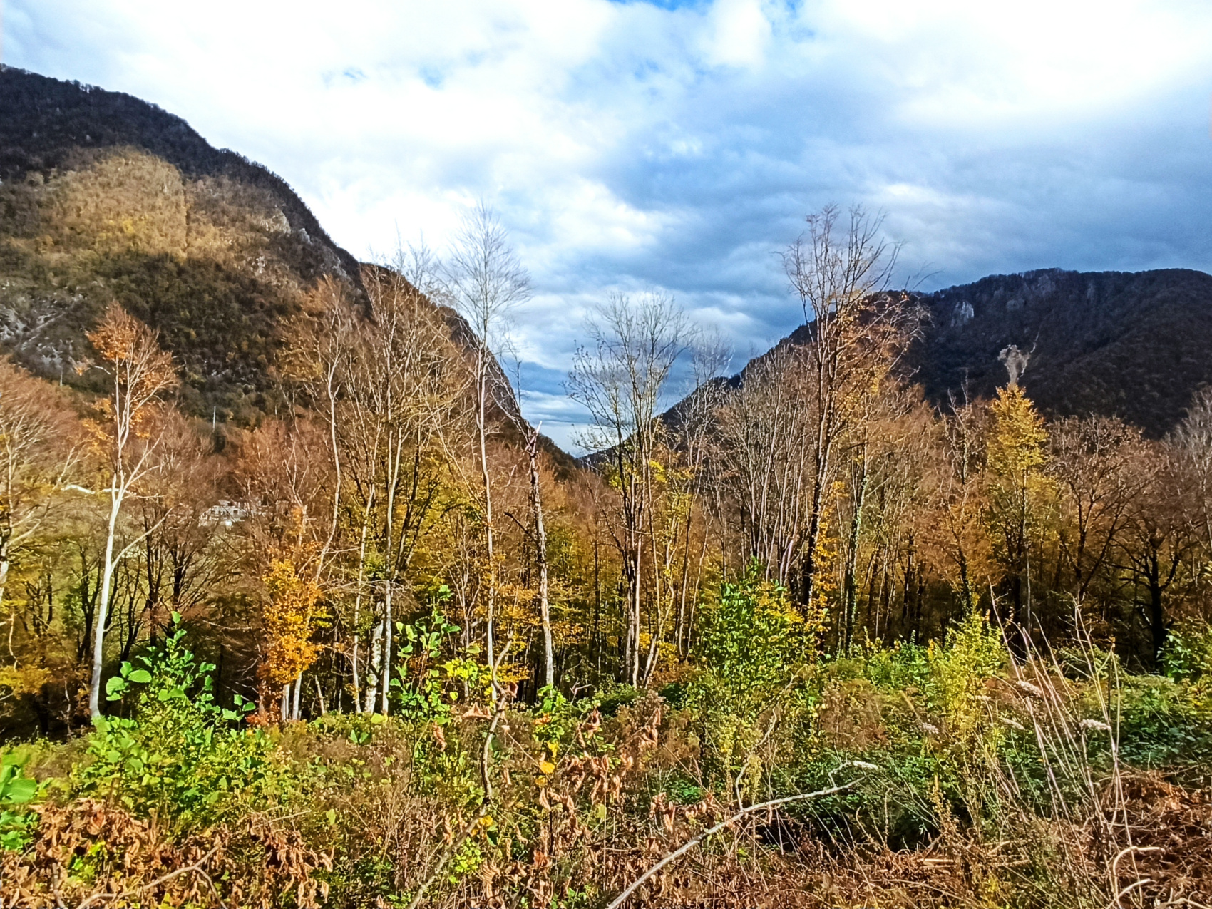 Сочинский эксклюзив (7 дней) (7/23)