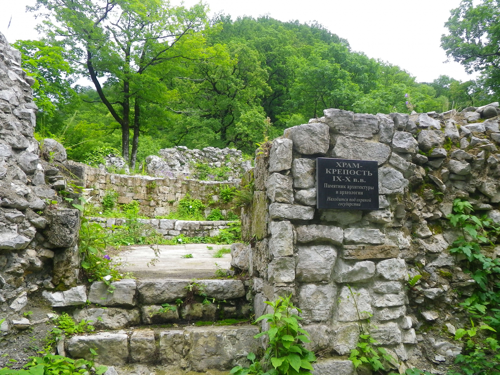 Сочинский эксклюзив (7 дней) (5/23)