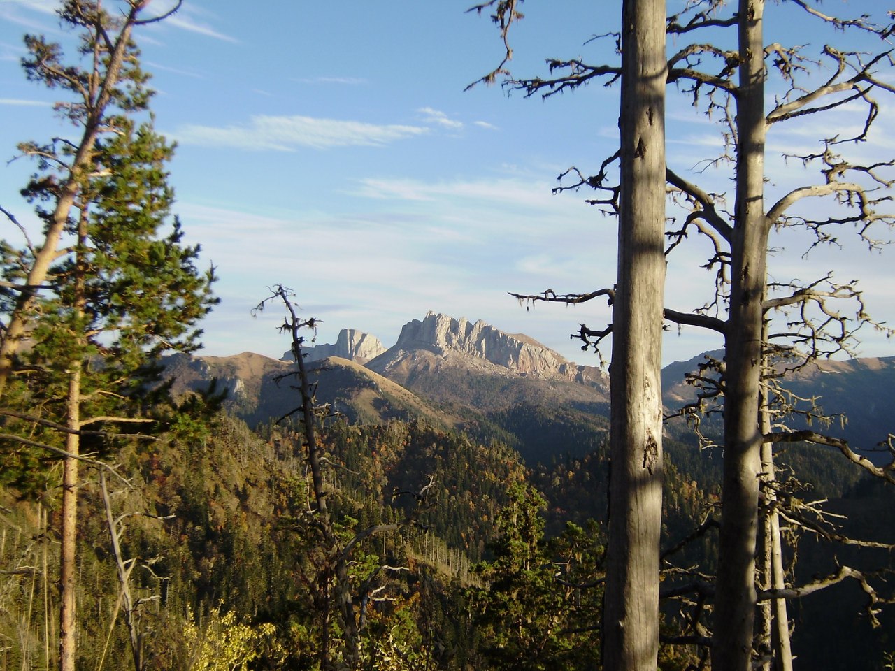 Природный парк 