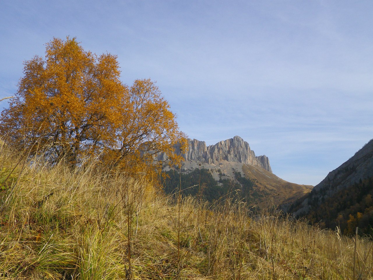 Природный парк 
