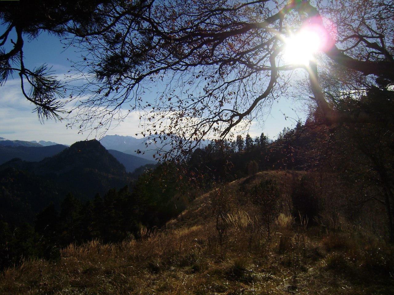 Природный парк 