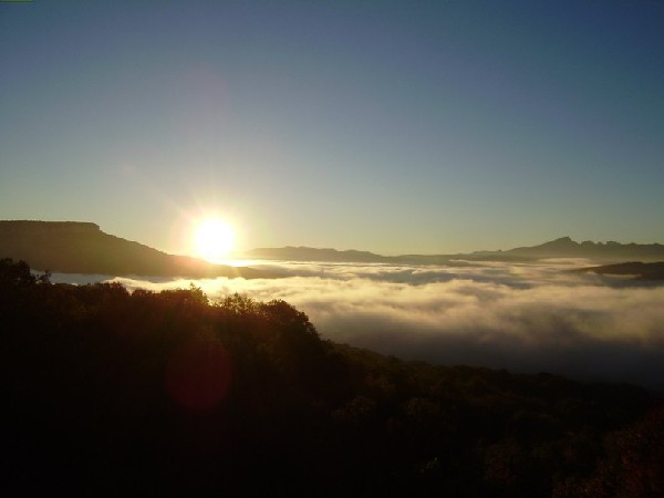 Природный парк 