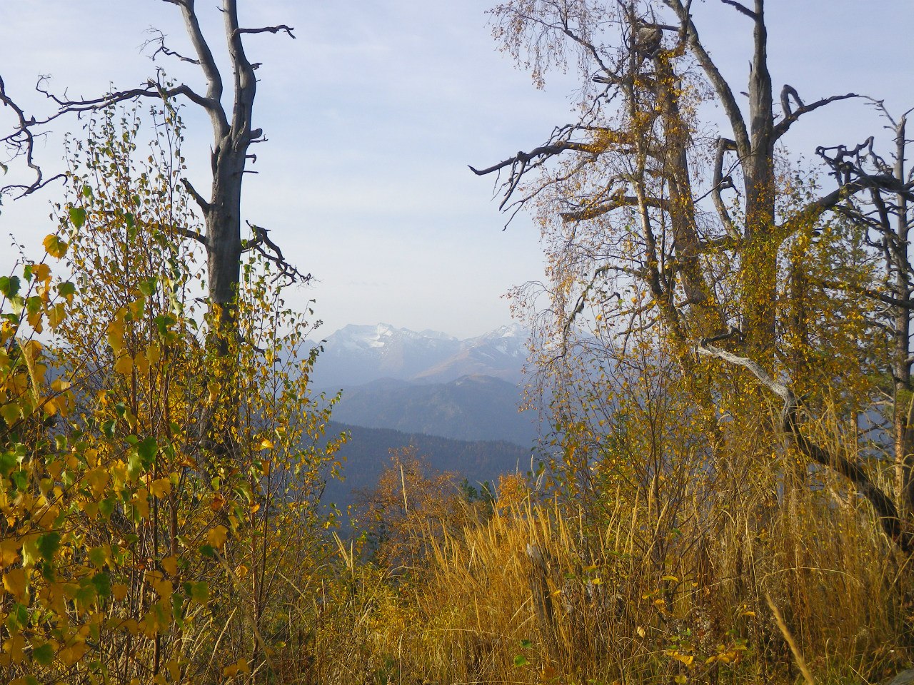 Природный парк 