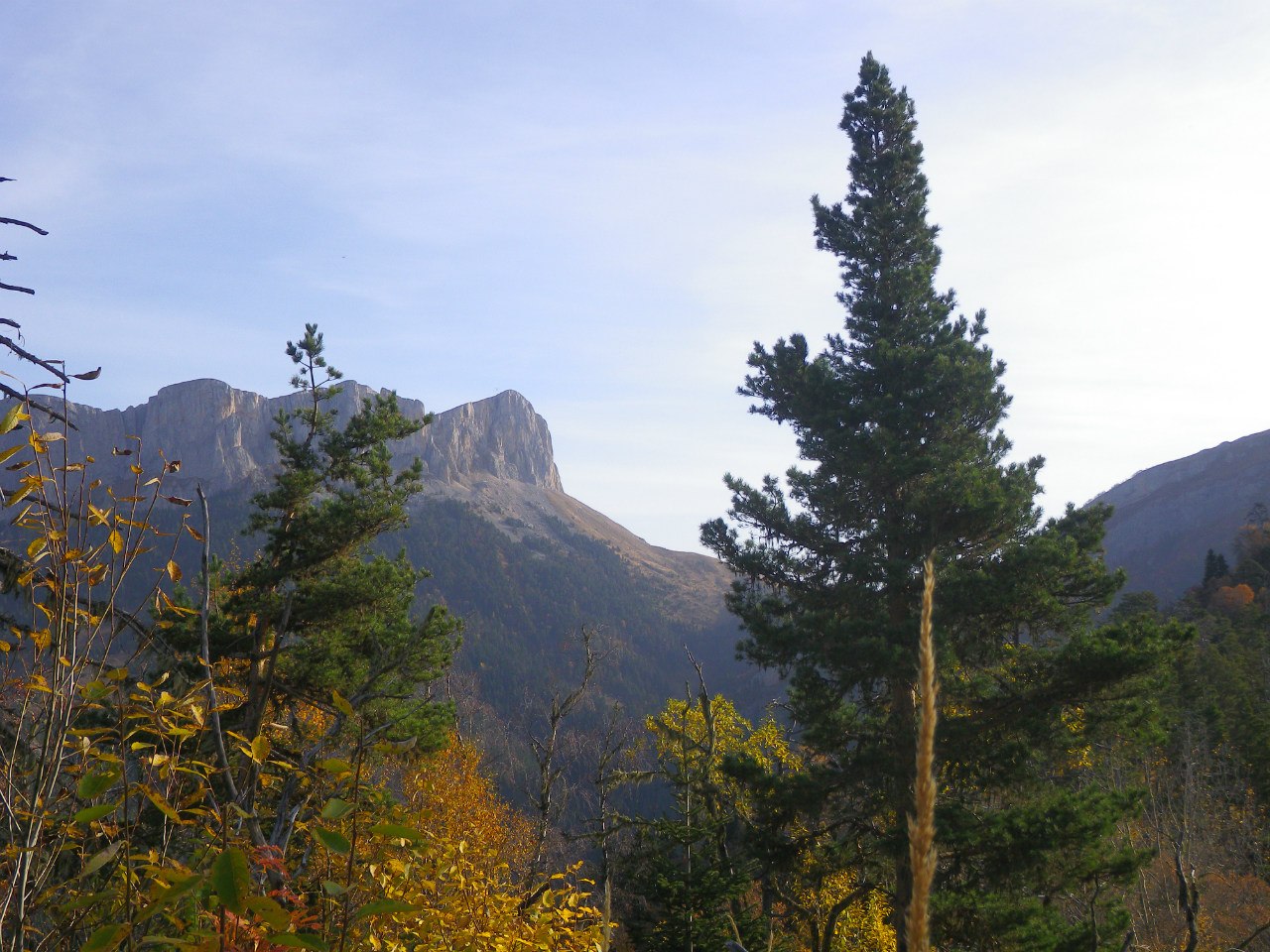 Природный парк 