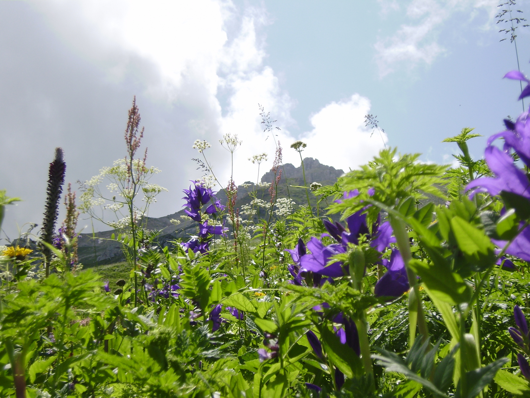 Адыгея на ладошке (7 дней) (1/31)