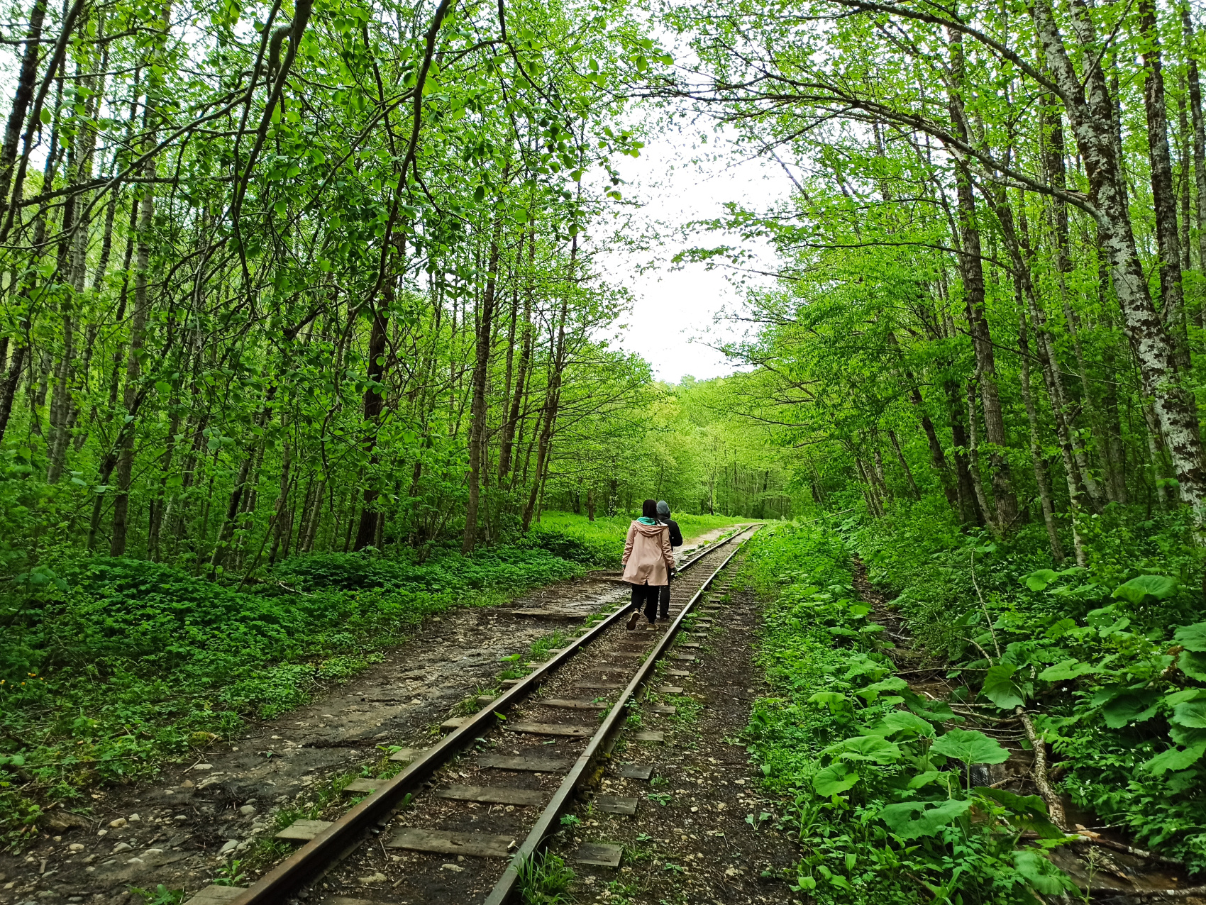 Адыгея на ладошке (7 дней)