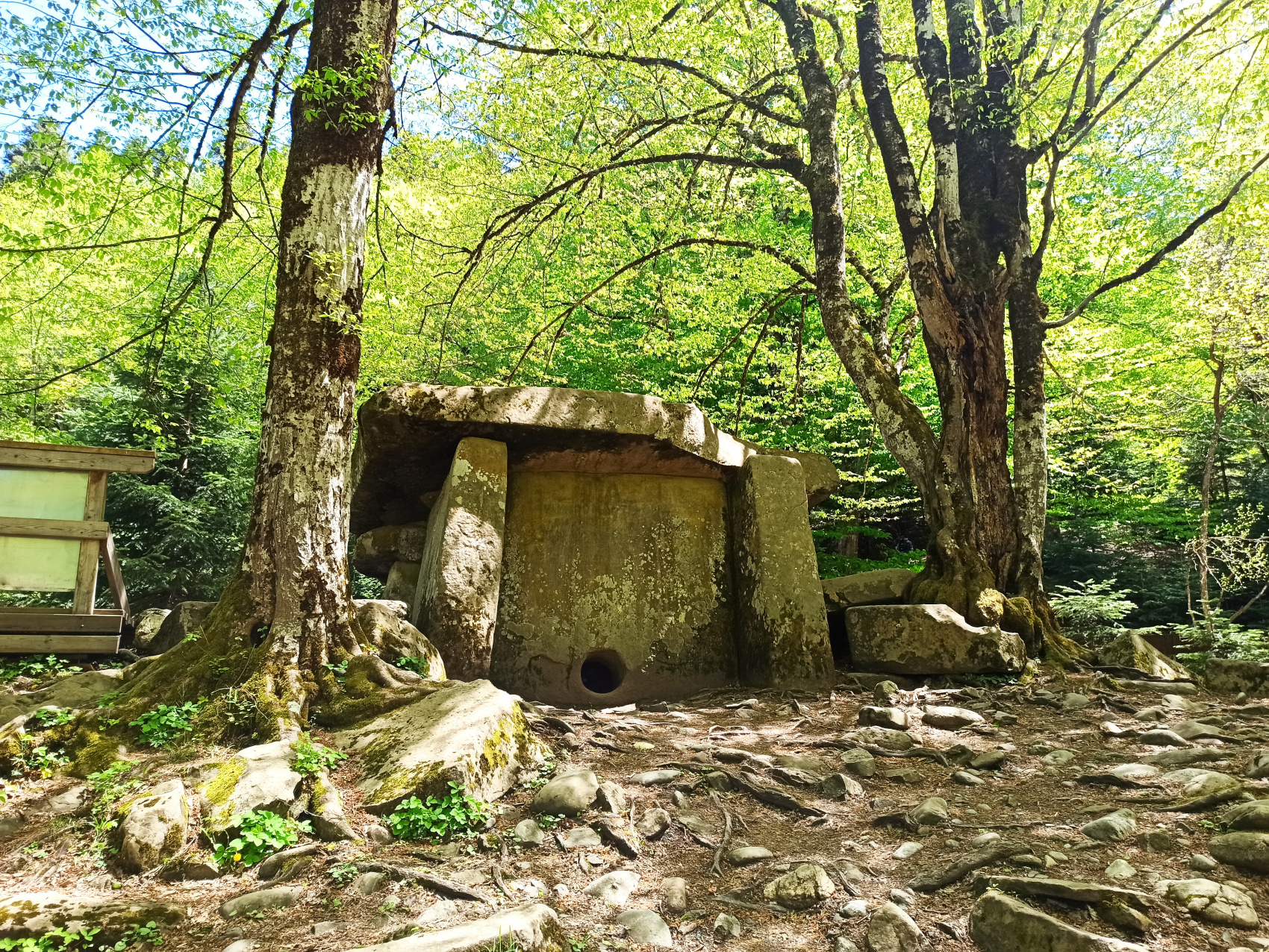 Адыгея на ладошке (7 дней) (6/31)