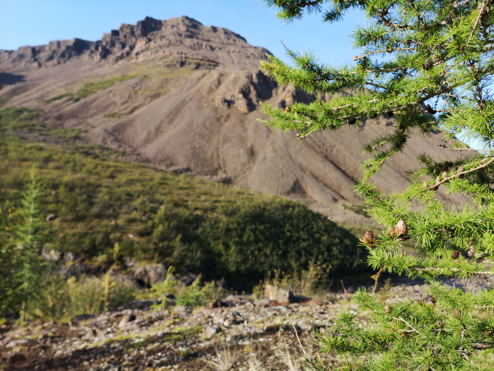 Верхний мир Плато Путорана (13/83)