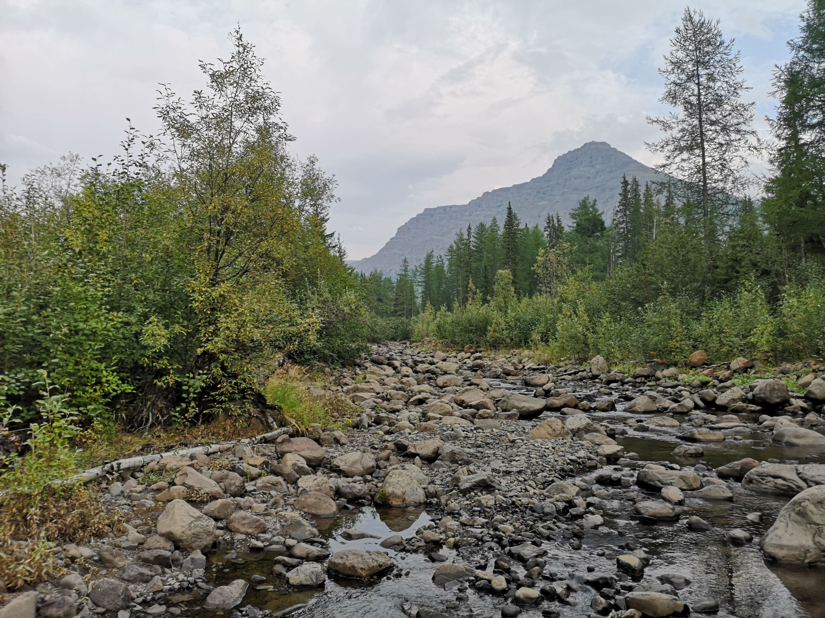 Верхний мир Плато Путорана (14/83)