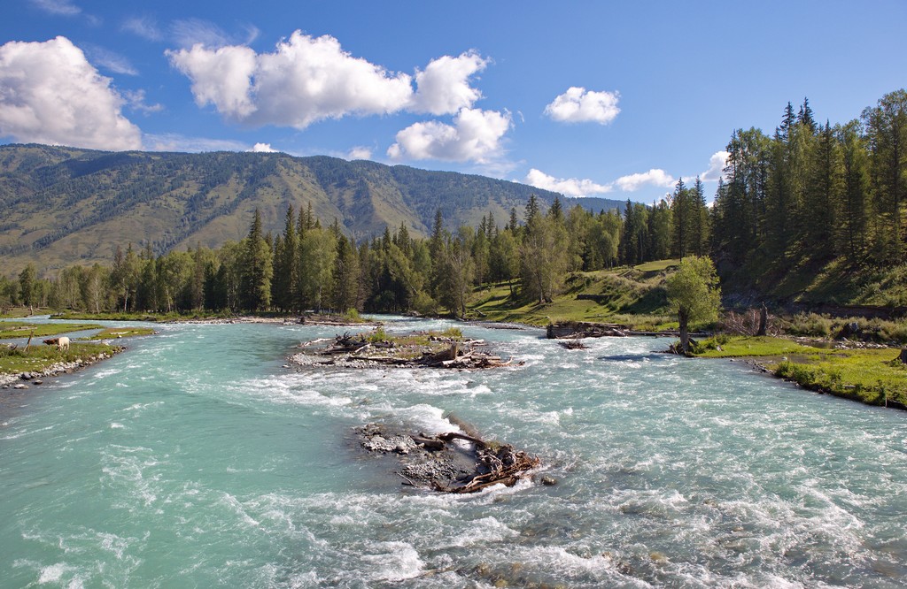 Экспедиция к подножию Белухи (4/50)