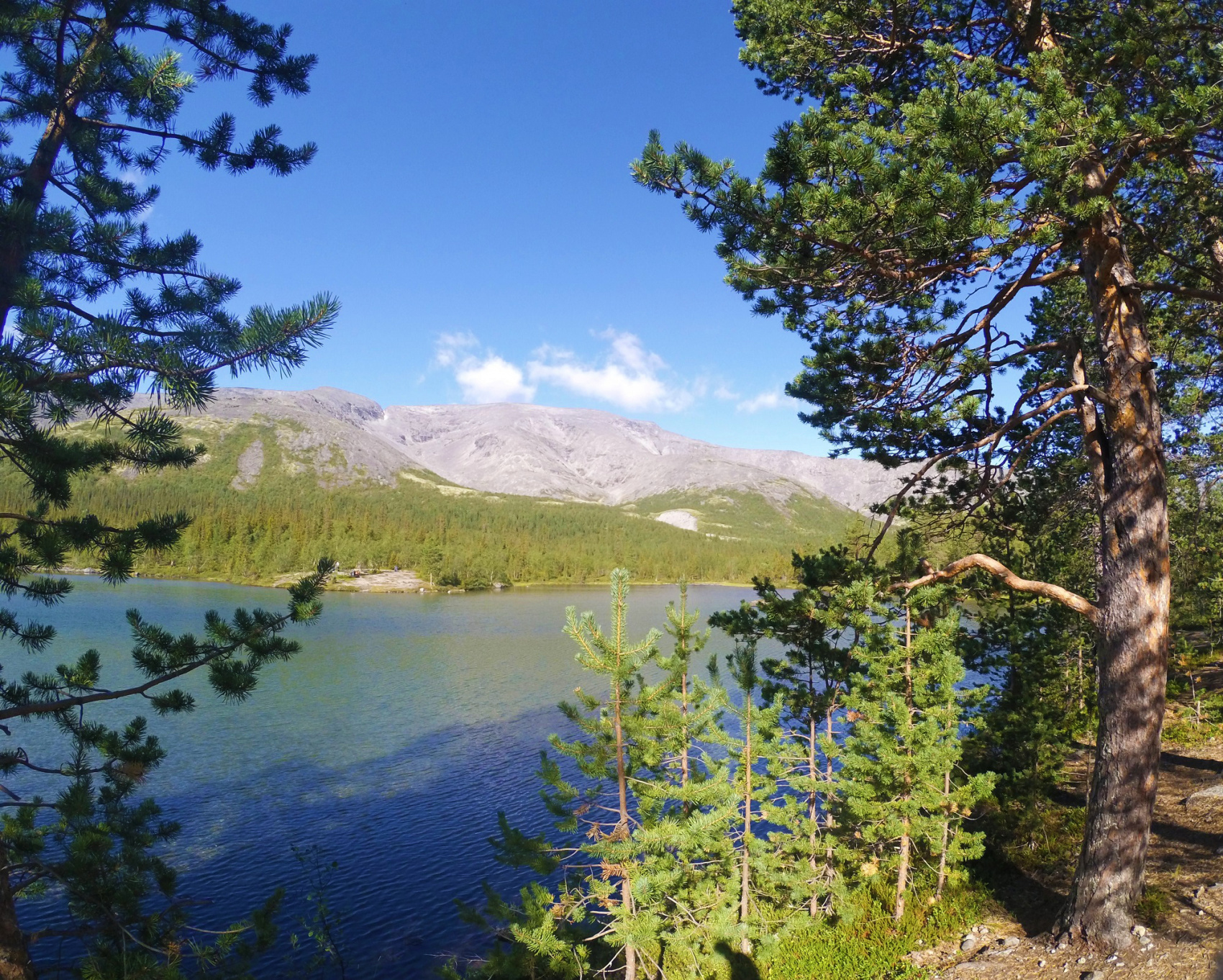 Треккинг в Хибинах (без рюкзаков и палаток) (7/41)