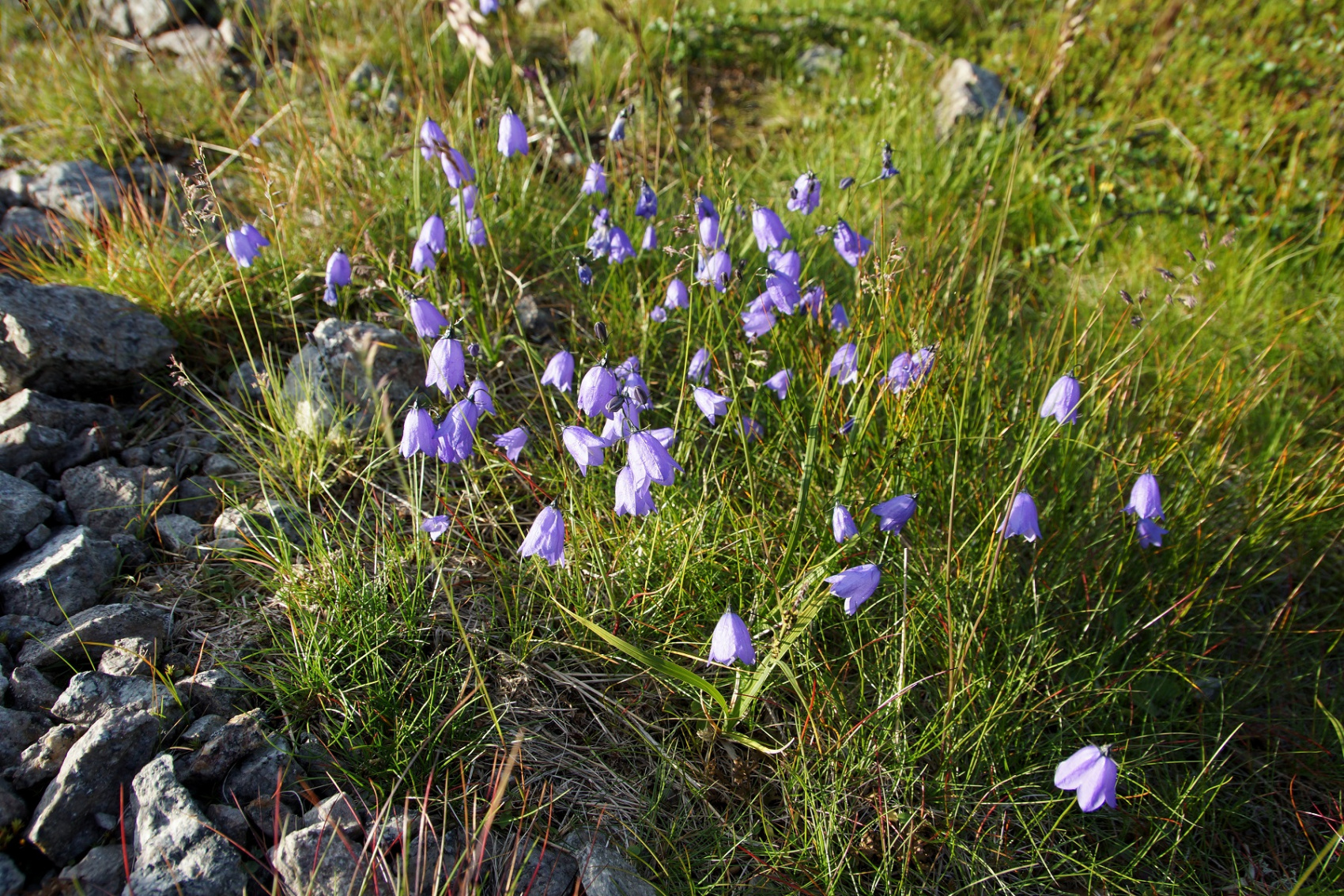 Треккинг в Хибинах (без рюкзаков и палаток) (11/41)