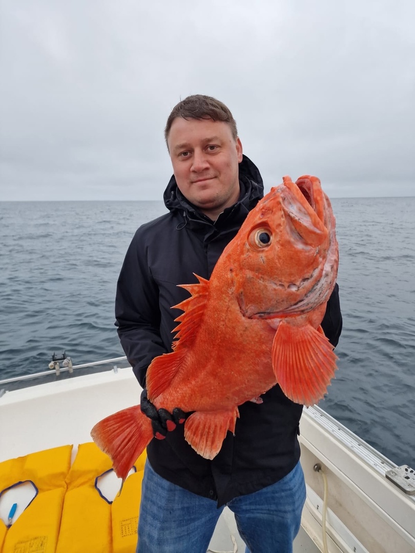 Автотур по Камчатке. без палаток! (10/63)