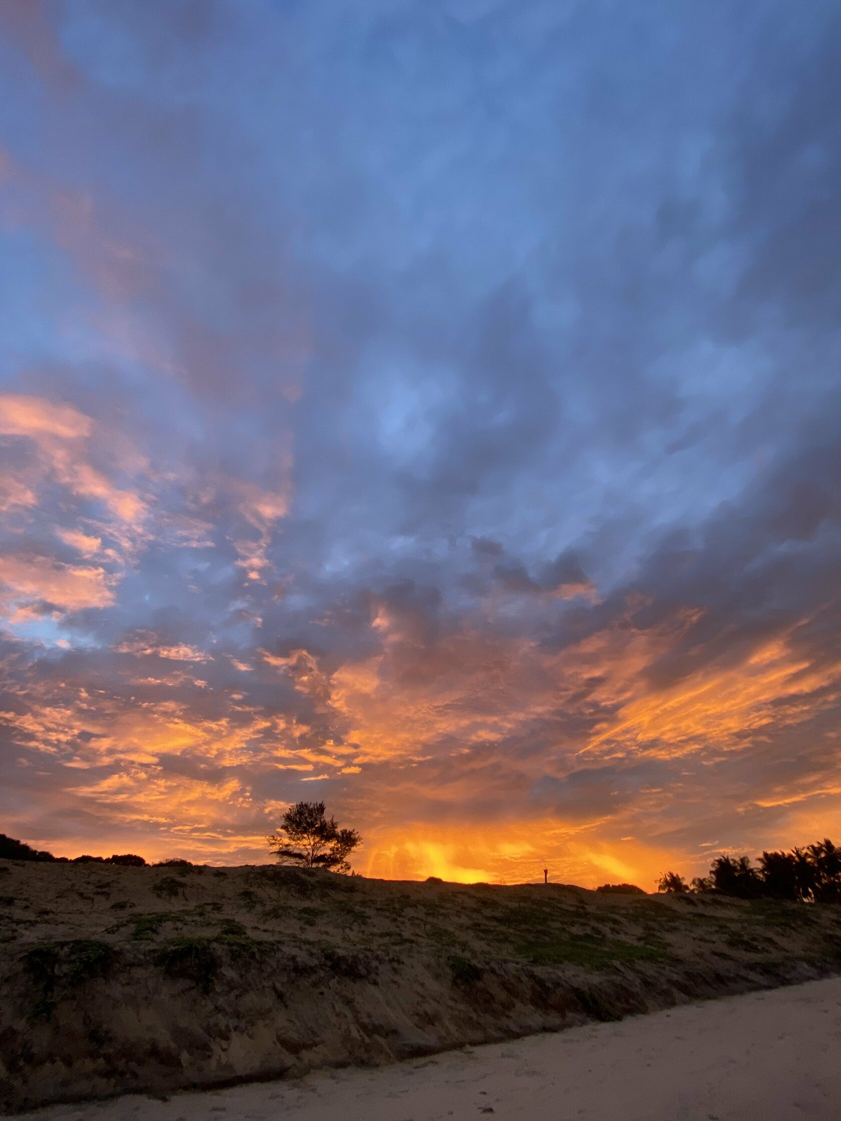 Шри-Ланка. Восточные пляжи, горы, чай, слоны и леопарды (35/45)