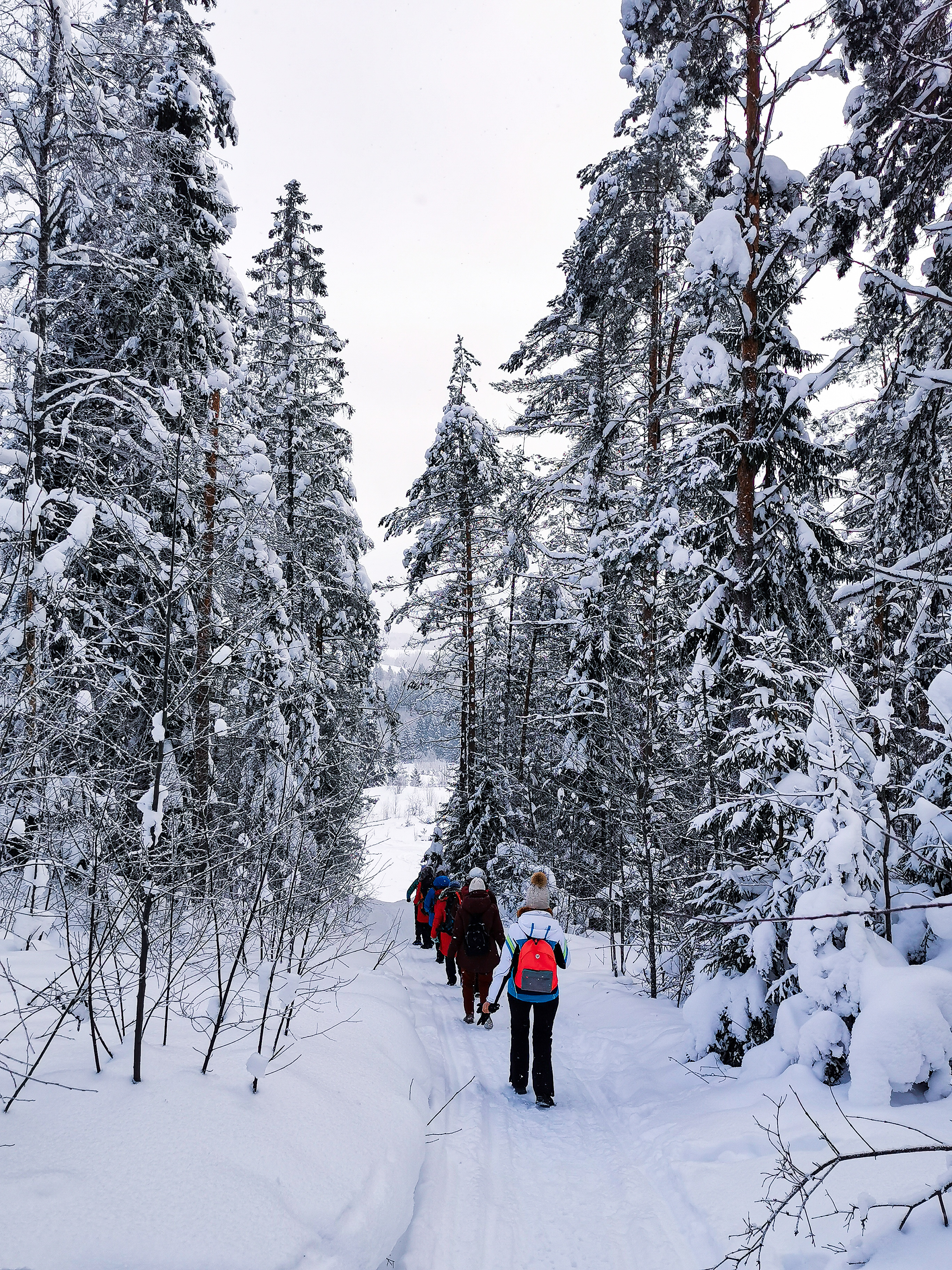 Актив-тур Русский север с проживанием в отеле (15/18)