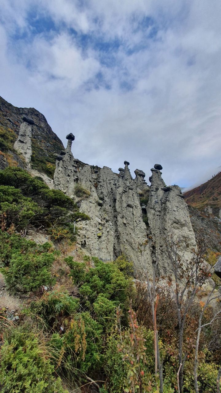 Жемчужное ожерелье Алтая (61/65)