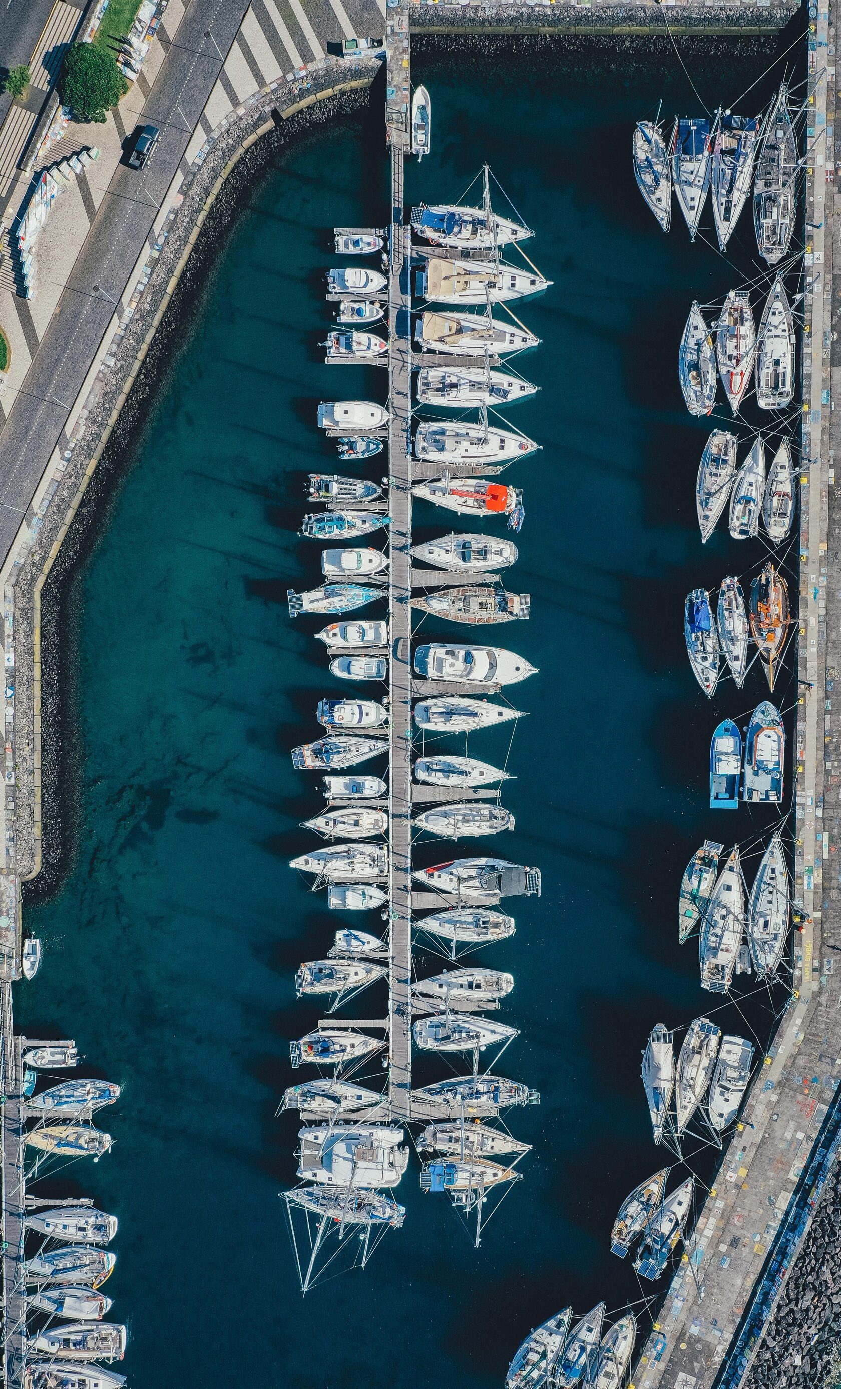 Затерянный мир: Азорские острова (34/55)