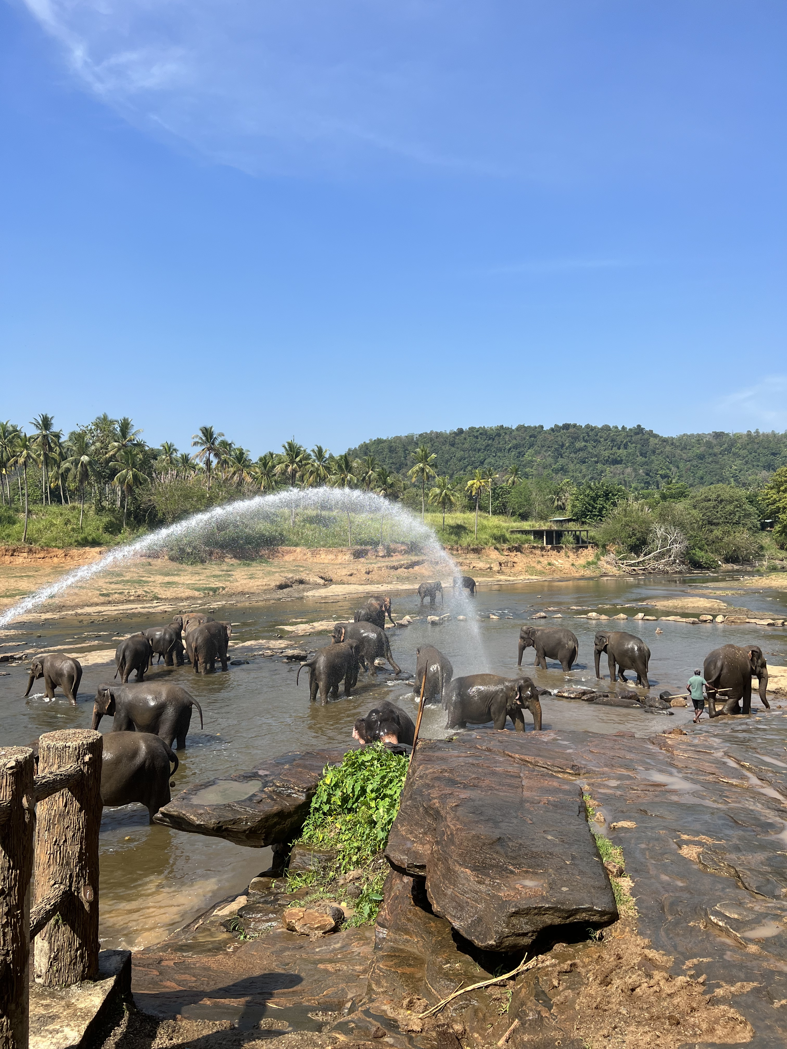 Приключения на Шри-Ланке (149/173)