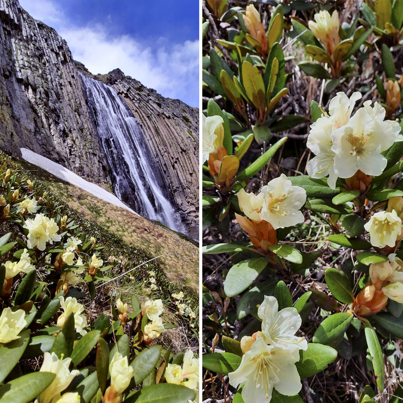 Треккинг в Приэльбрусье без рюкзаков. (26/45)
