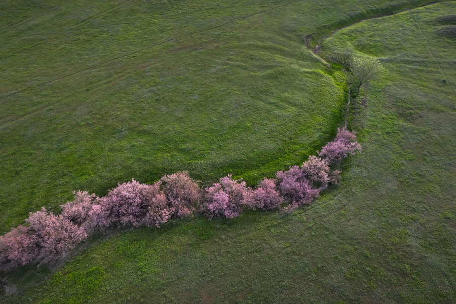 Путешествие в цветущую степь (26/26)