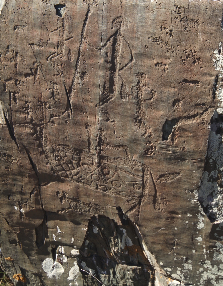 Алтай без границ (21/32)