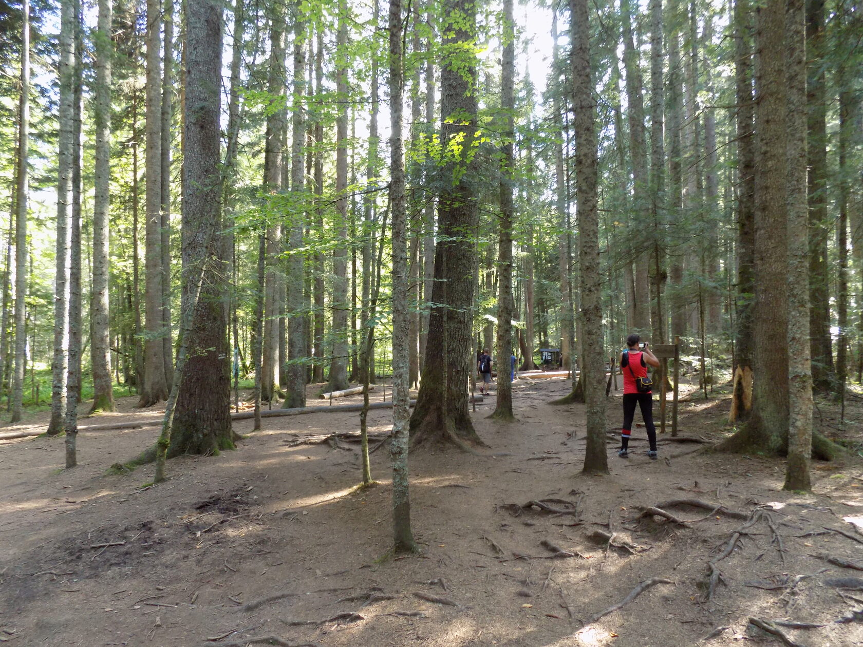 Сербия. Безумные деньки (31/41)