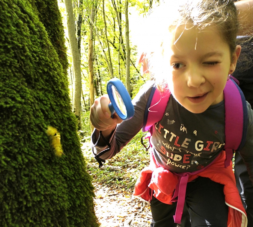 Семейная Адыгея: основы туризма (комфорт) (4/22)