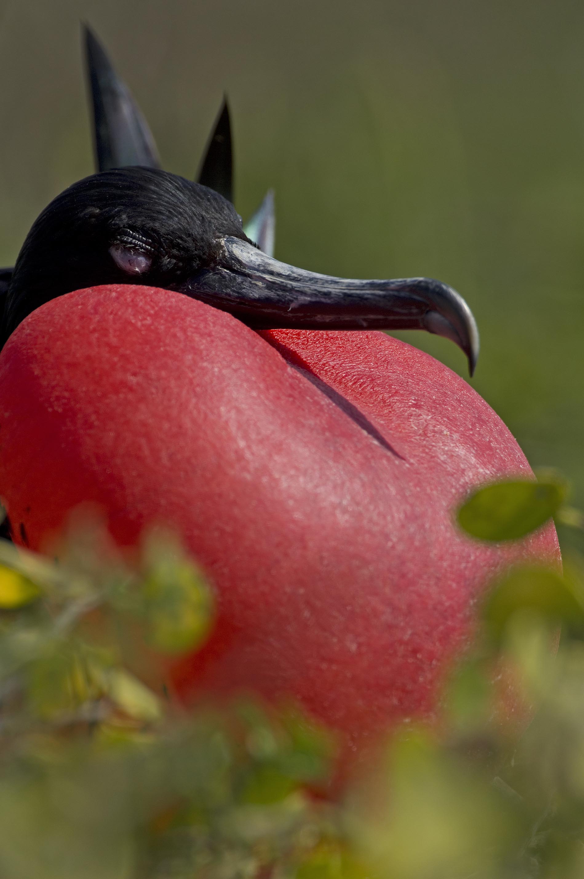 Анды, Амазония и Галапагосские острова (13/18)
