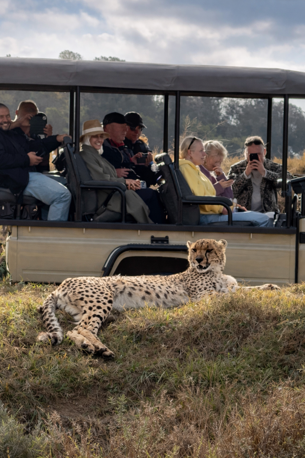 Юар-Большое Путешествие: пингвины, сафари и гепарды, вертолеты и вино (16/23)