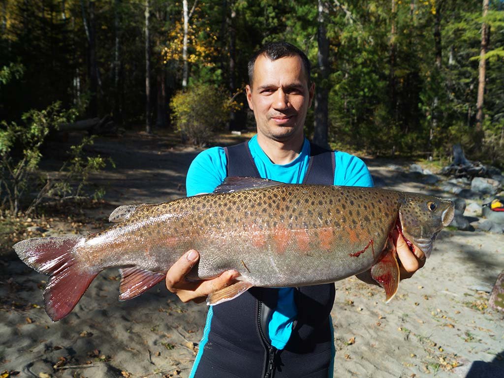 Трофейная Рыбалка На Горной Реке (17/25)