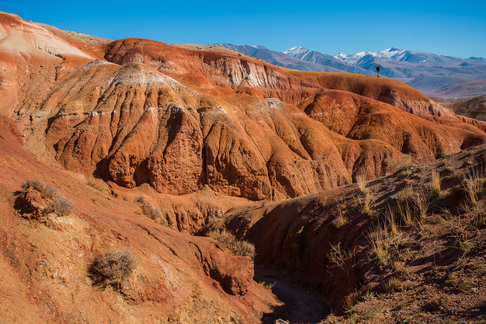 Точка встречи Осенний Алтай! (19/28)