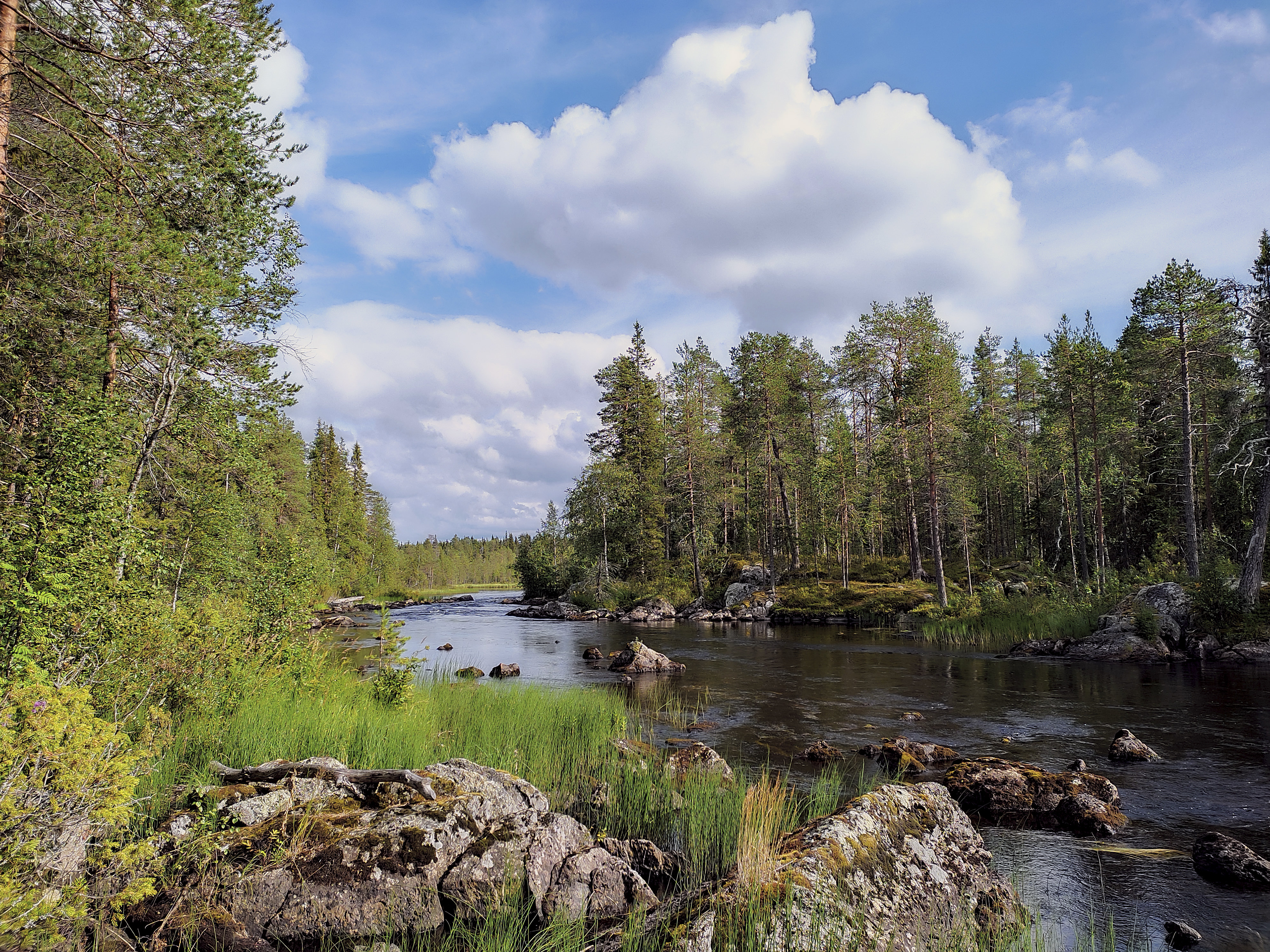 Сплав по реке Пистайоки (15/33)