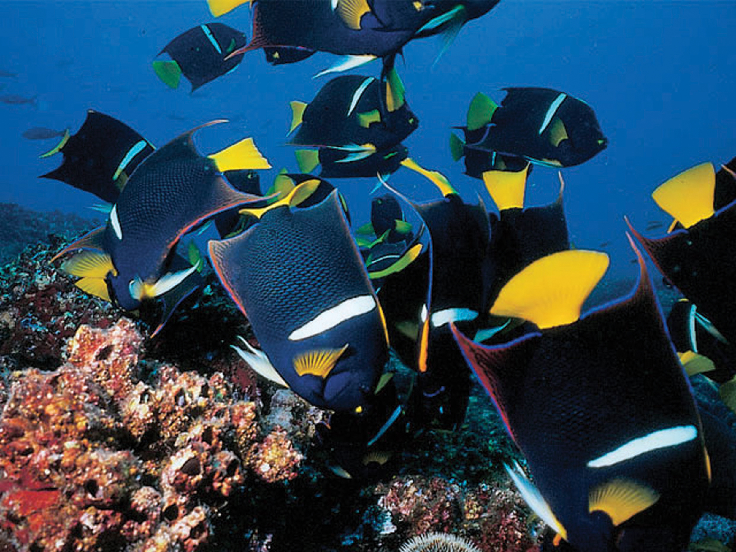 Анды, Амазония и Галапагосские острова (16/18)