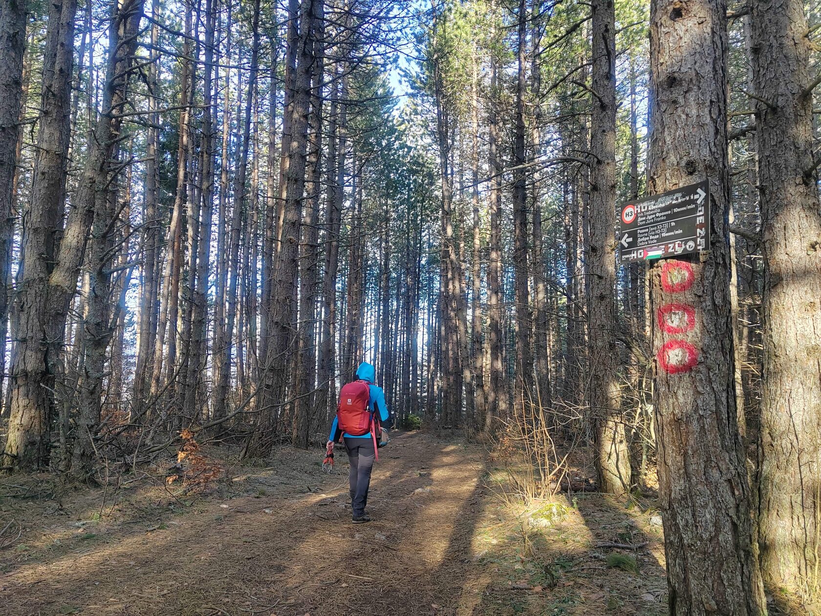 Сербия. Безумные деньки (36/41)