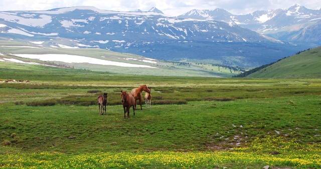 Алтай без границ (18/32)