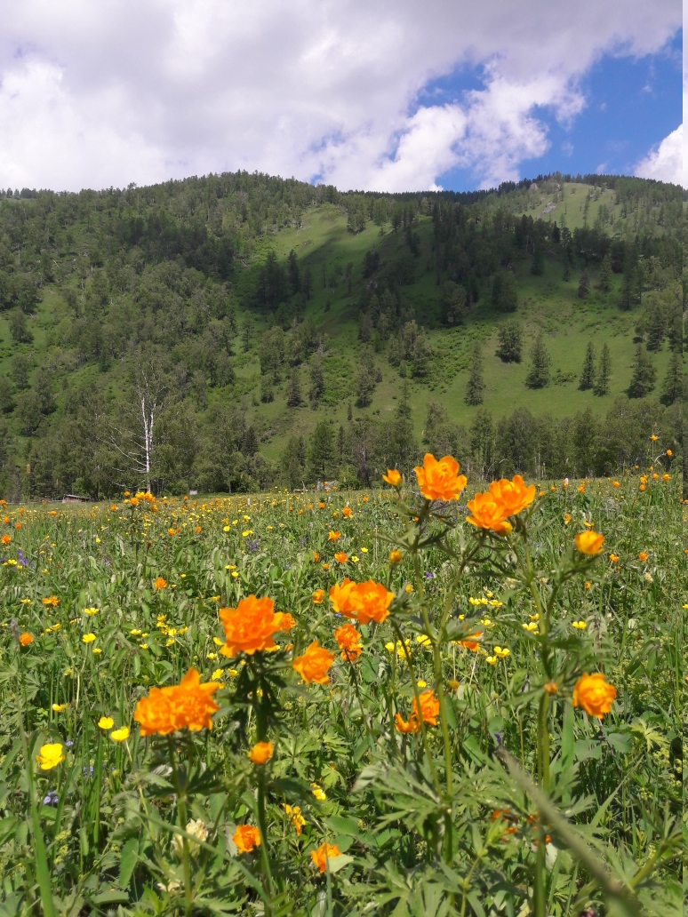 Алтай без границ (16/32)