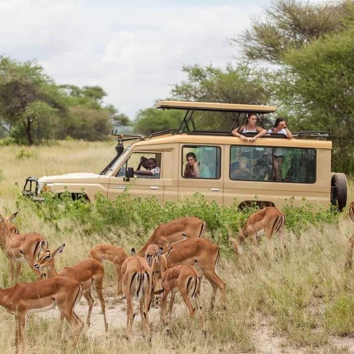 10 Days Tanzania Wildlife and Zanzibar beach Experience