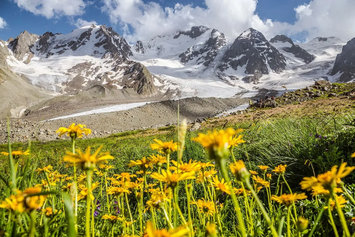 Кавказское трио: Осетия, Ингушетия и Чечня! (48/50)