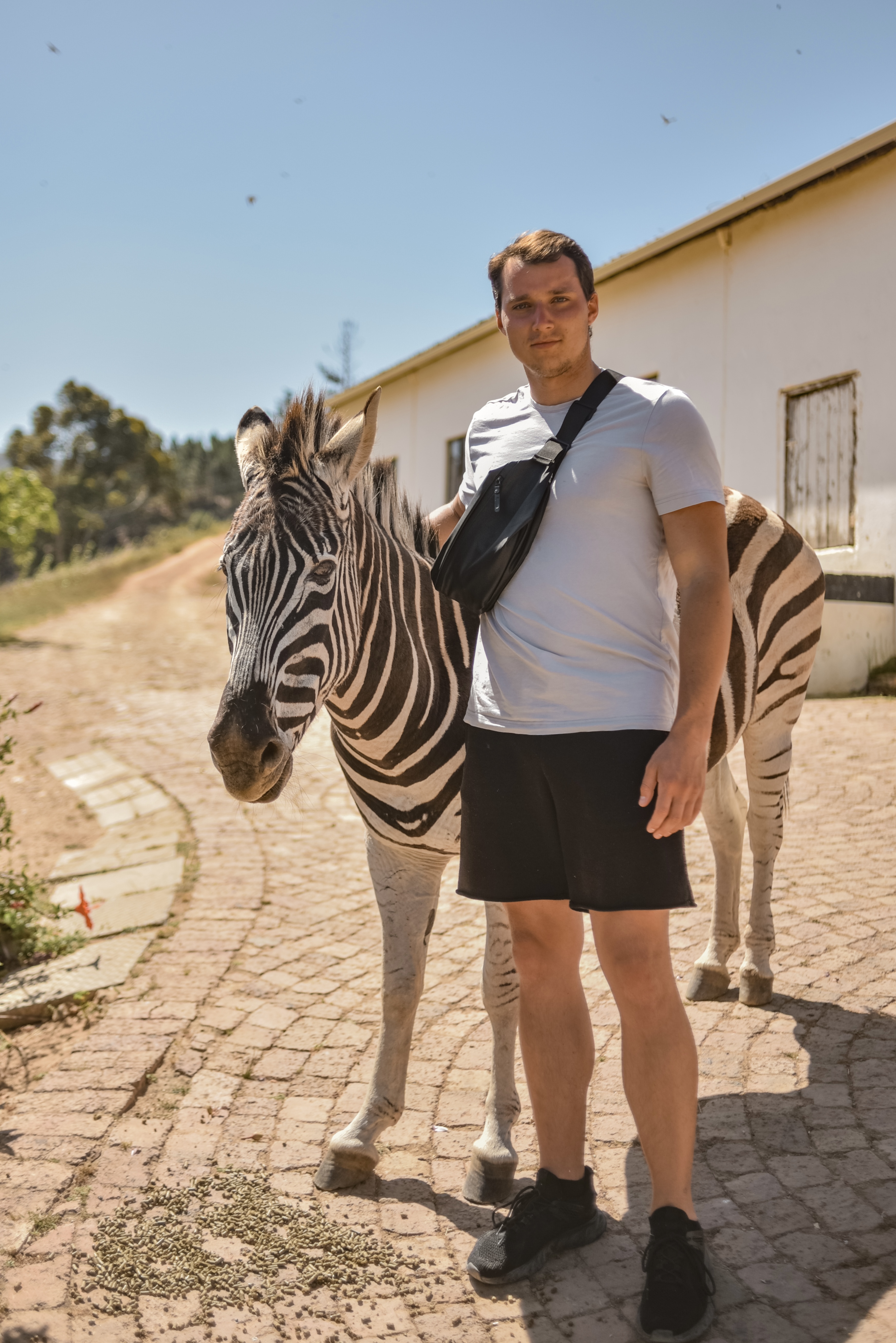 Юар-Большое Путешествие: пингвины, сафари и гепарды, вертолеты и вино (21/23)
