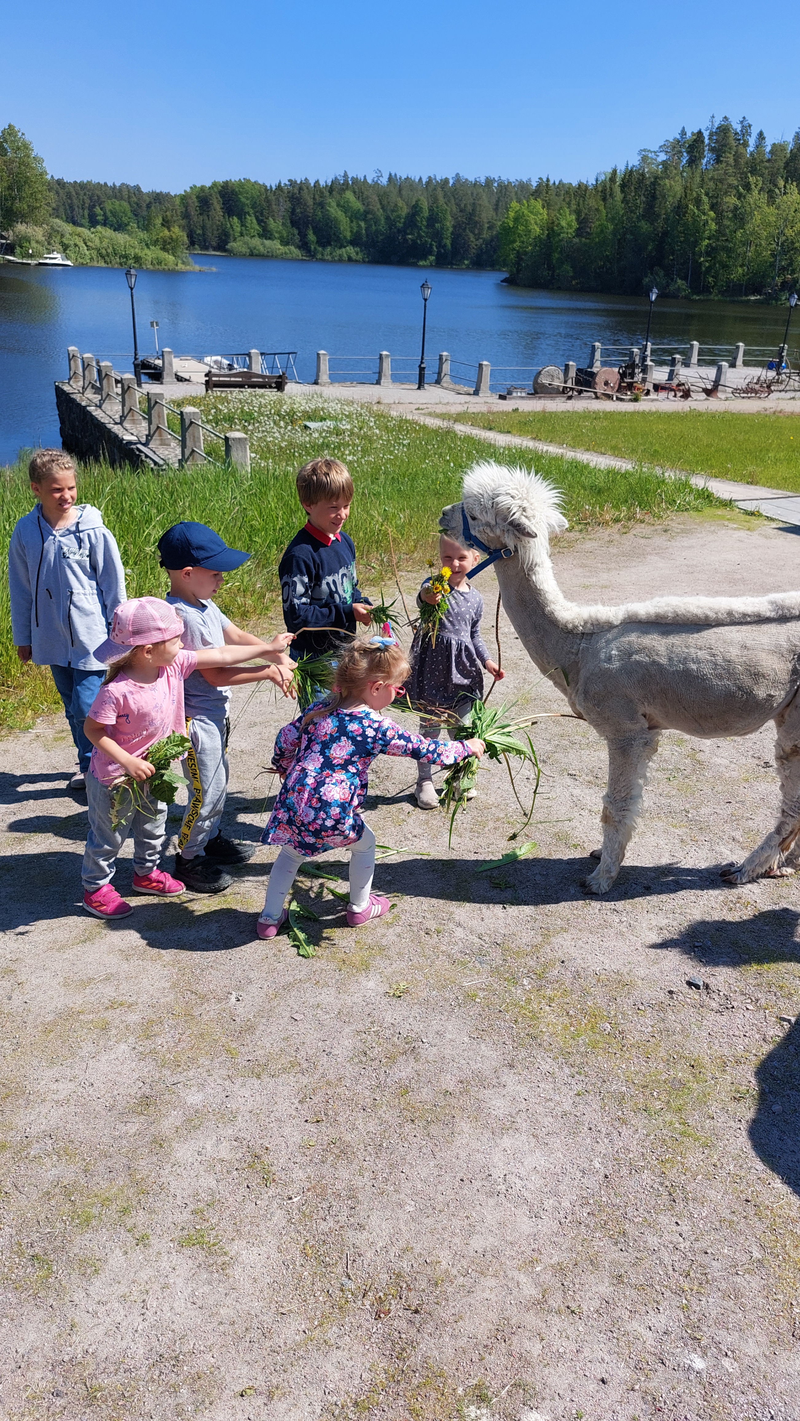 Душа Карелии (6/15)