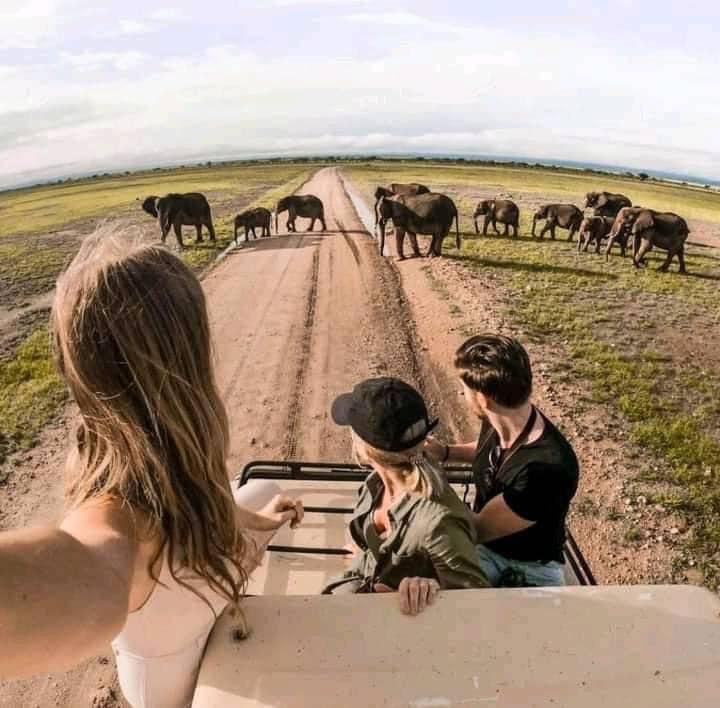 3 Days Safari At Tarangire  Park, Ngorongoro & Kilimanjaro M